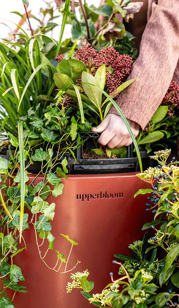 Medewerker tilt een beplante binnenbak uit een terracotta Upperbloom-plantenbak