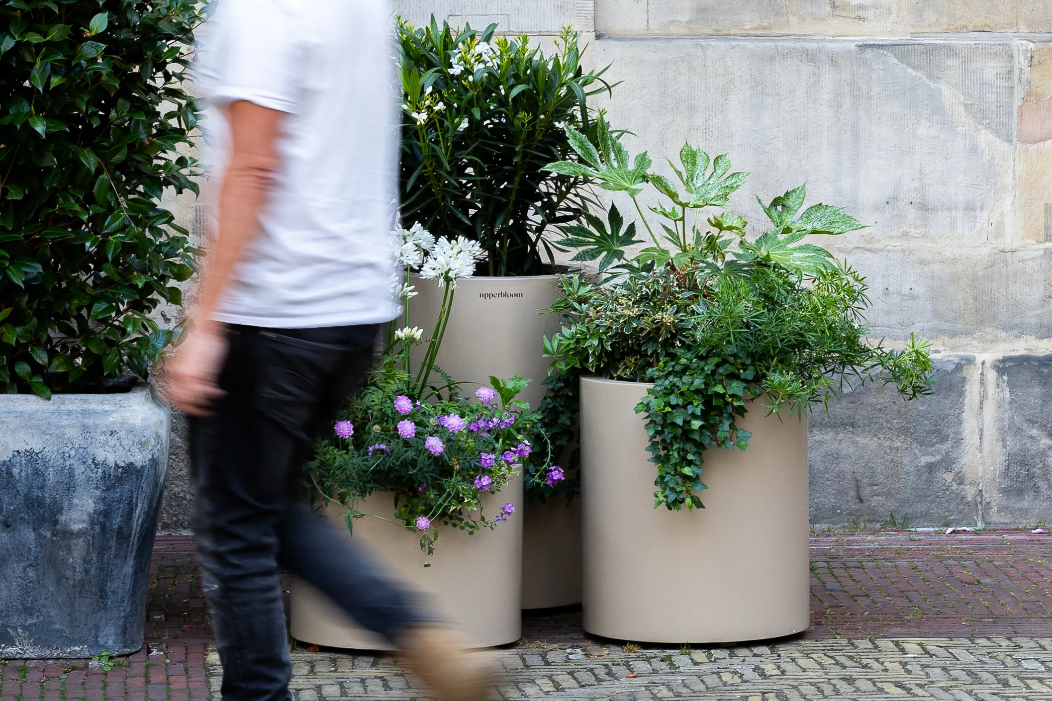 Voorbijganger loopt langs taupe plantenbakken met scabiosa, heesters en klimop op de stoep