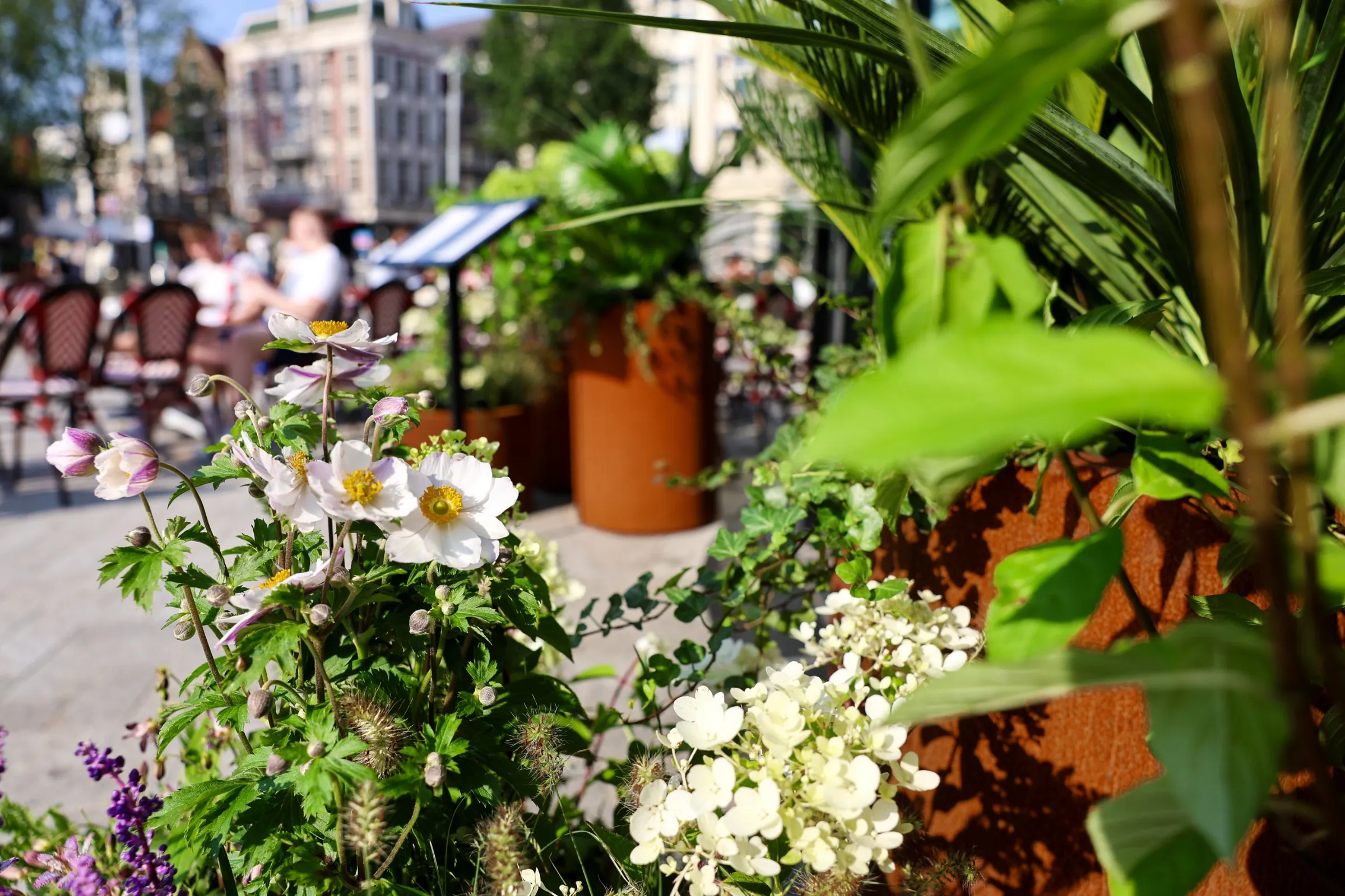 [Beschrijf de foto van de plantenbakken bij Heineken Hoek]