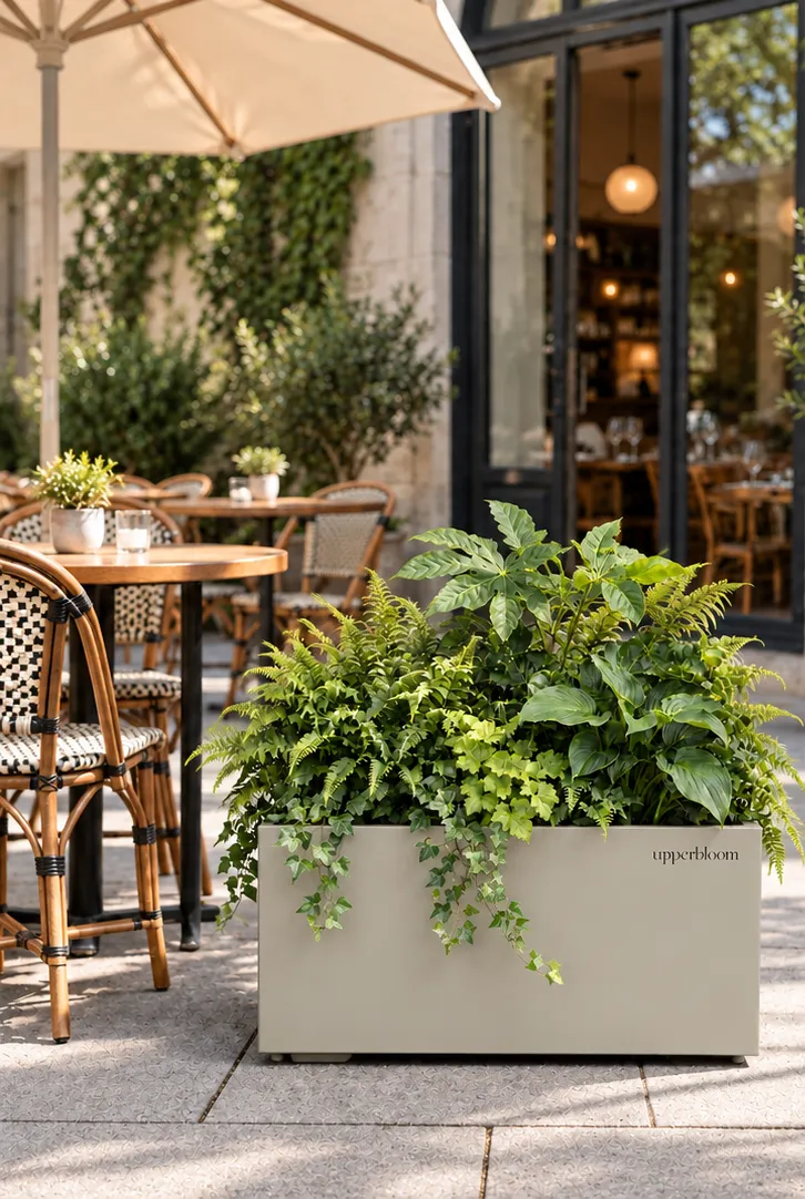 Rechthoekige grijze plantenbak met varens, vingerplant en klimop op een caféterras