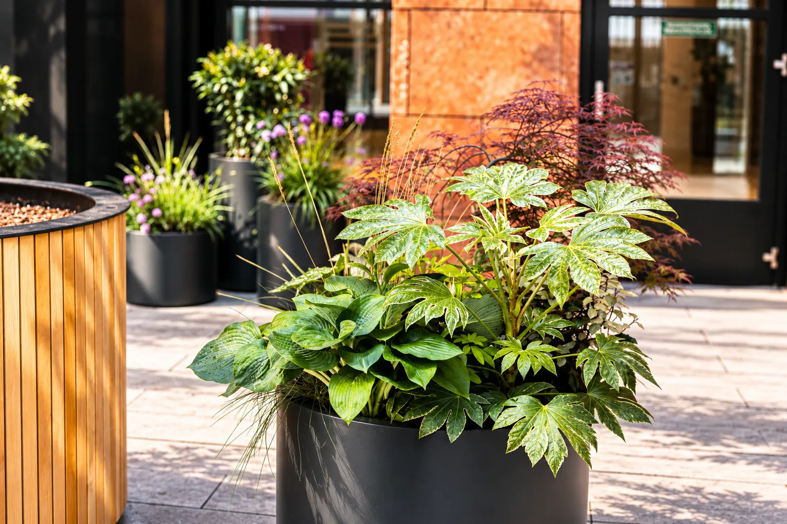 Antraciet ronde plantenbak met fatsia, hosta en een rode Japanse esdoorn voor de terracotta gevel, naast een houten plantenbak