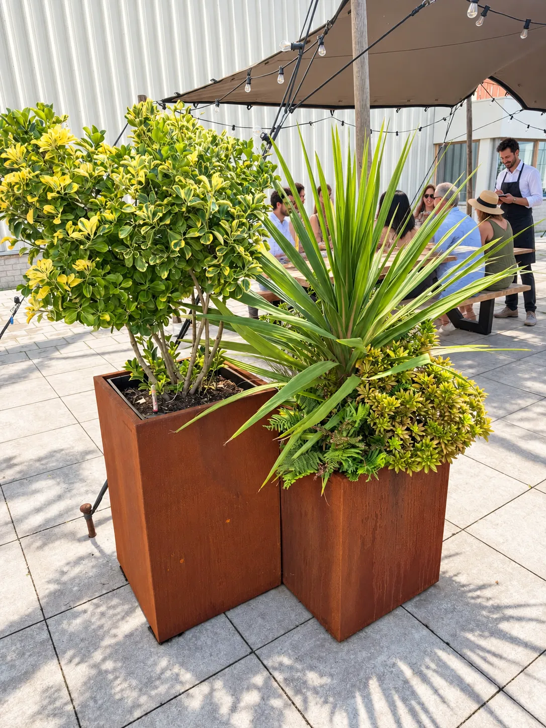 Twee cortenstalen plantenbakken in verschillende hoogtes met een geelbonte heester en een plant met lange spitse bladeren, voor de picknicktafels onder het schaduwdoek