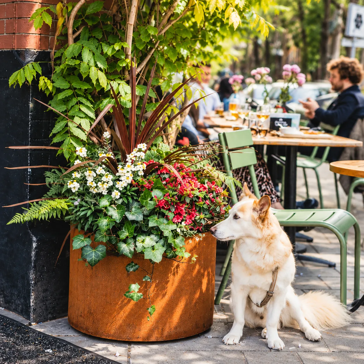 [Beschrijf de foto van de plantenbakken bij Café Gambrinus]
