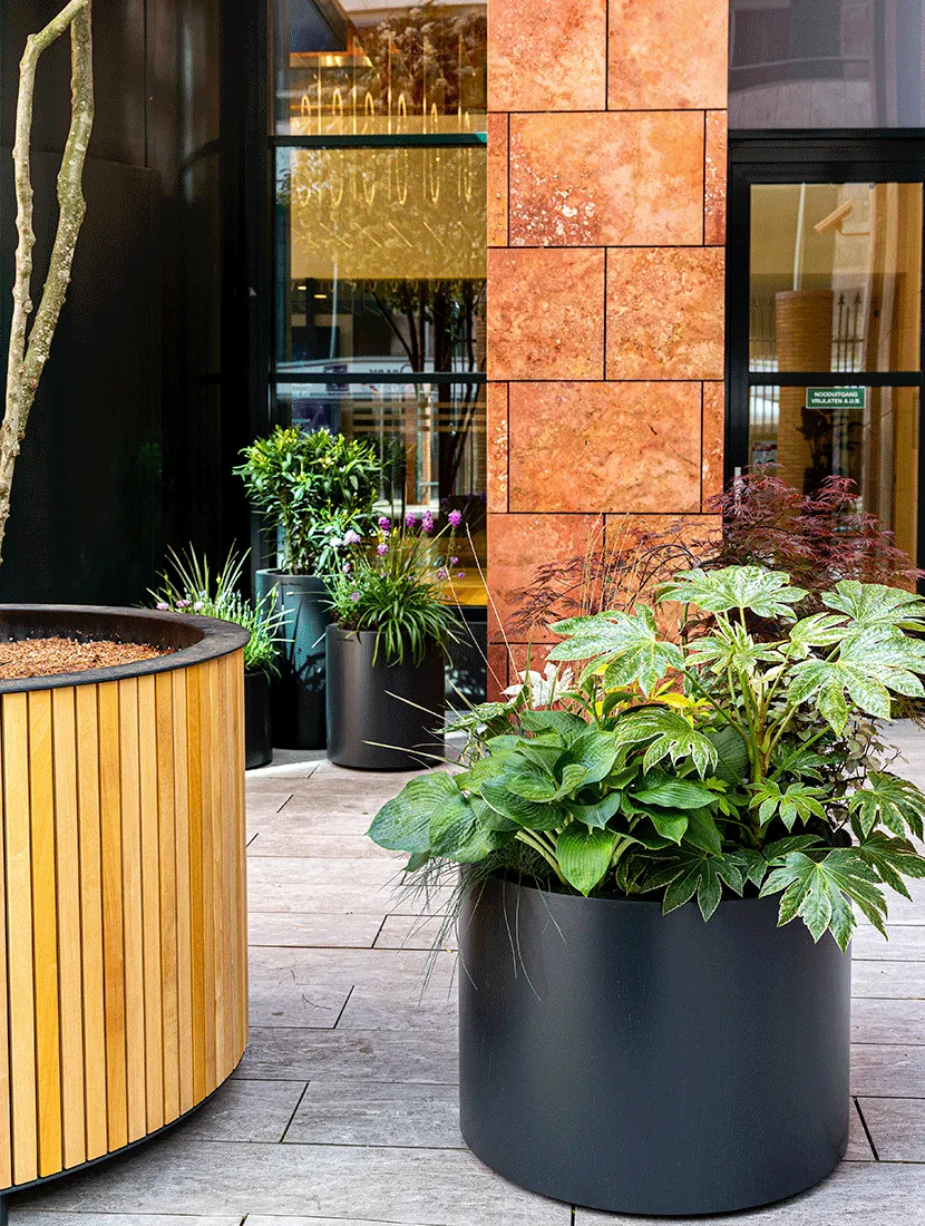 Antraciet ronde plantenbak met fatsia en hosta naast een houten plantenbak, voor de terracotta gevel