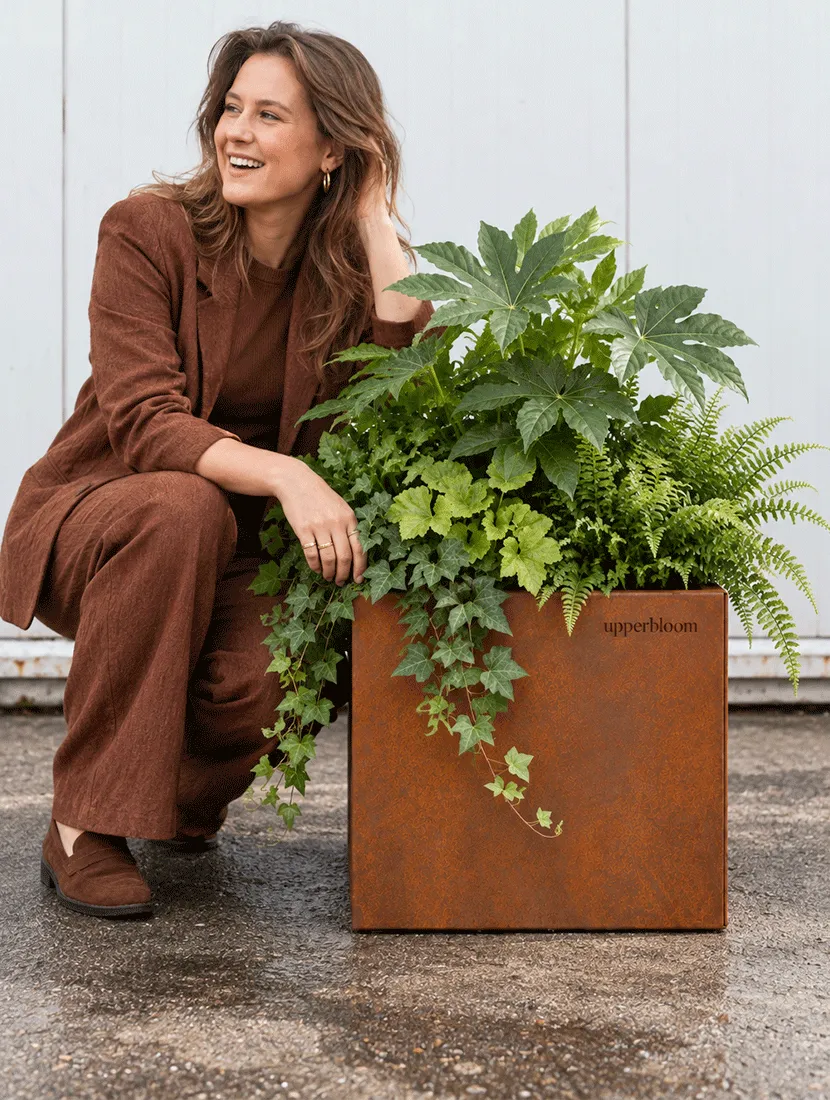 Vrouw hurkt naast vierkante cortenstalen plantenbak met vingerplant, varens en klimop
