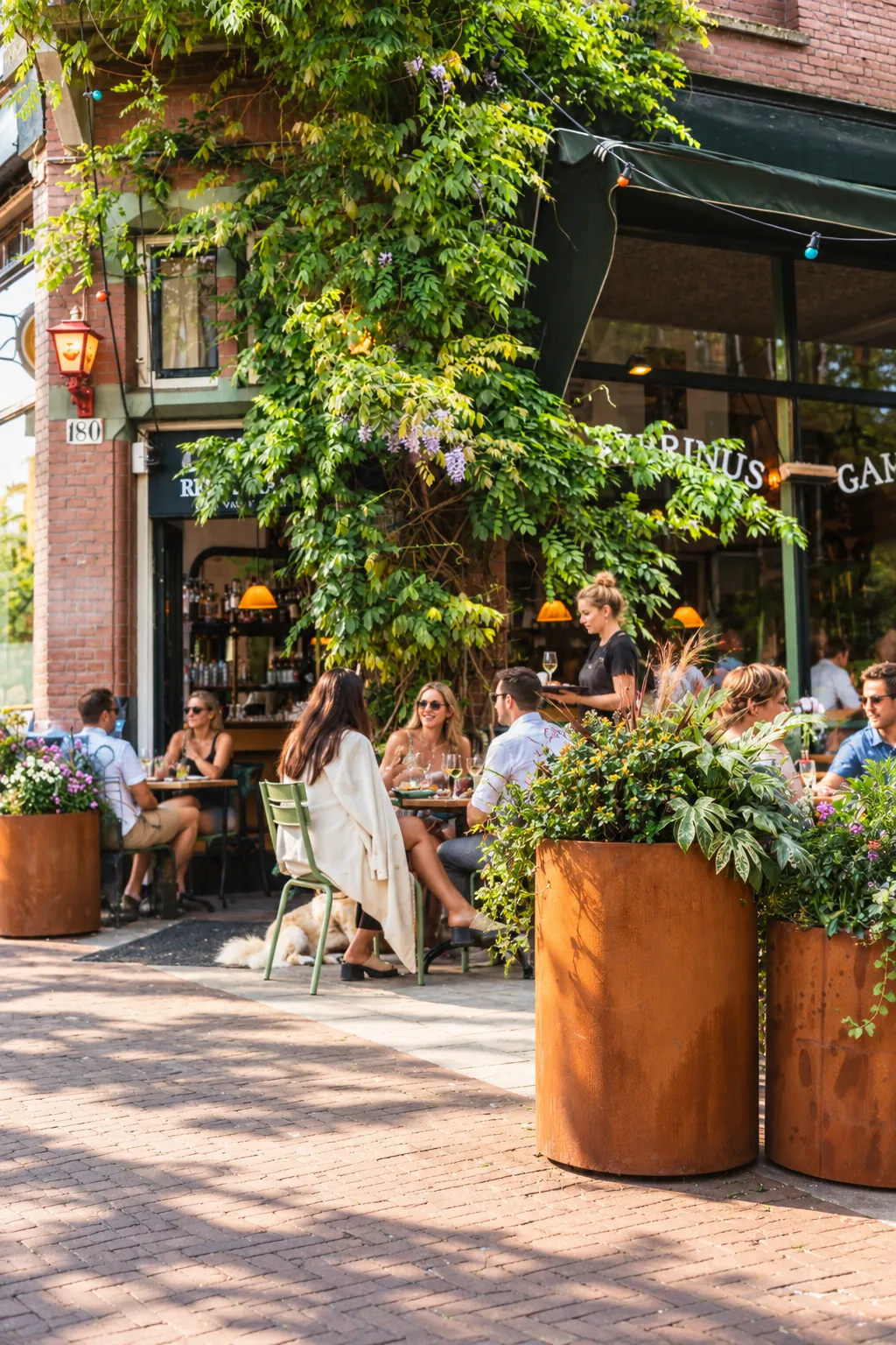 Terras van Cambrinus met ronde cortenstalen plantenbakken en blauwe regen langs de gevel
