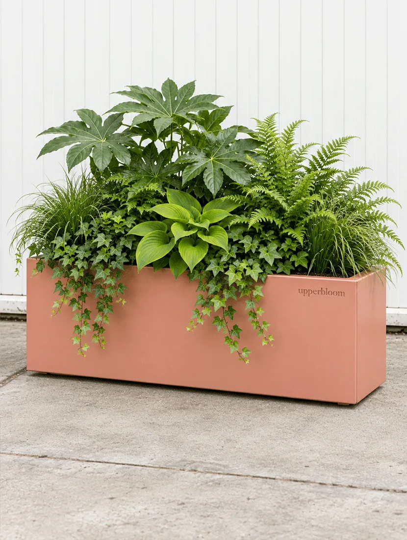 Terracotta rechthoekige plantenbak met vingerplant, hosta, varens en hangende klimop
