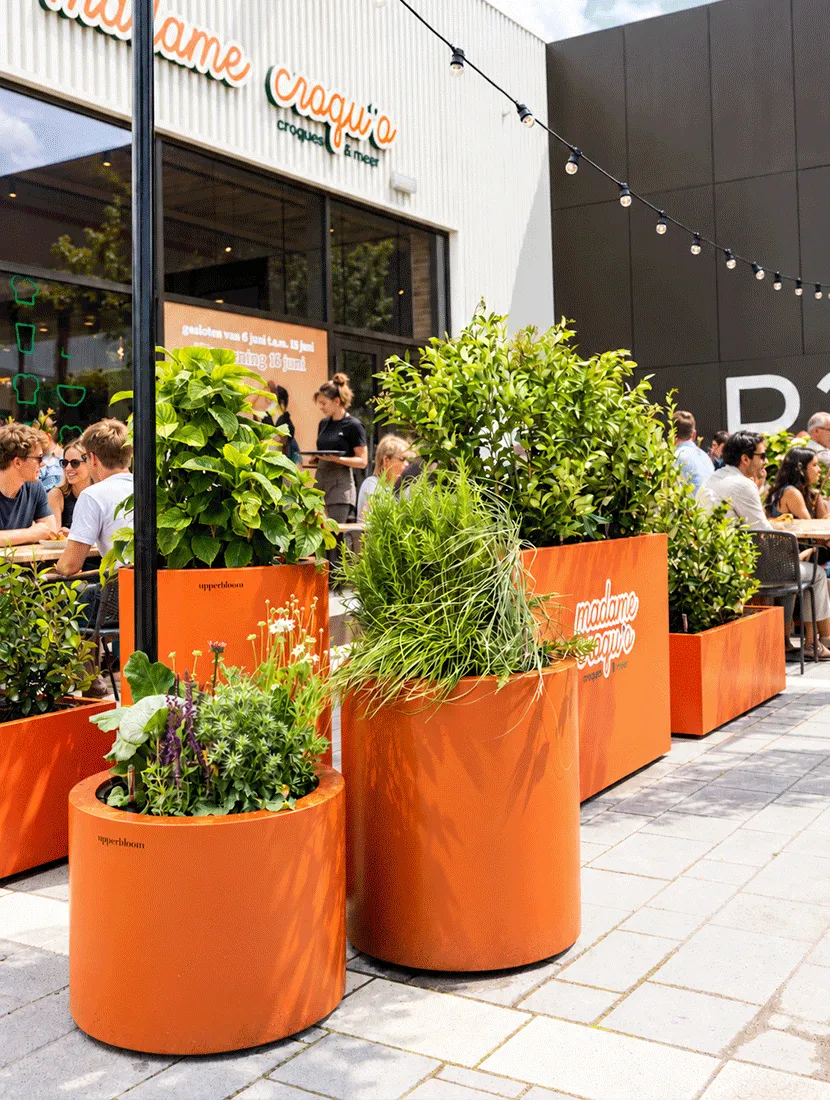 Oranje ronde en vierkante plantenbakken met kruiden en bladplanten voor Madame Croque