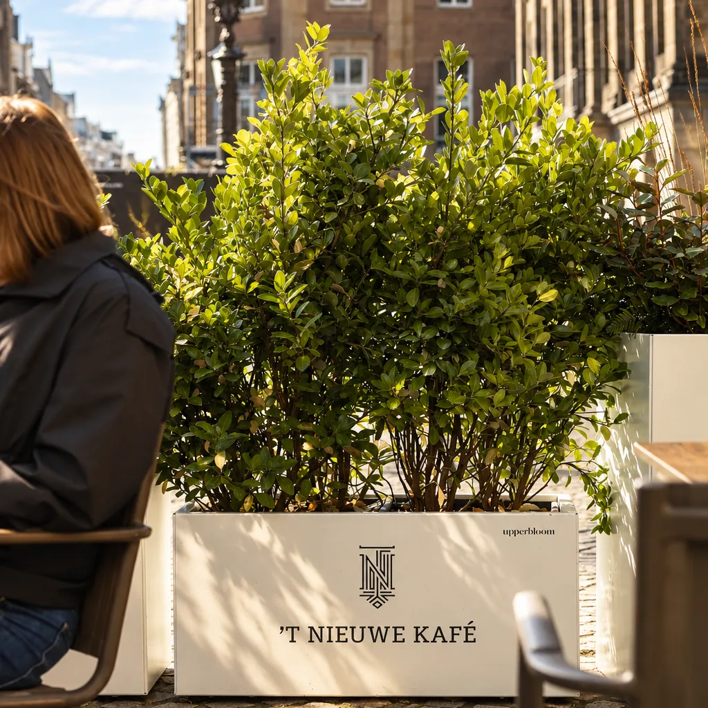 [Beschrijf de foto van de plantenbakken bij 't Nieuwe Kafé]