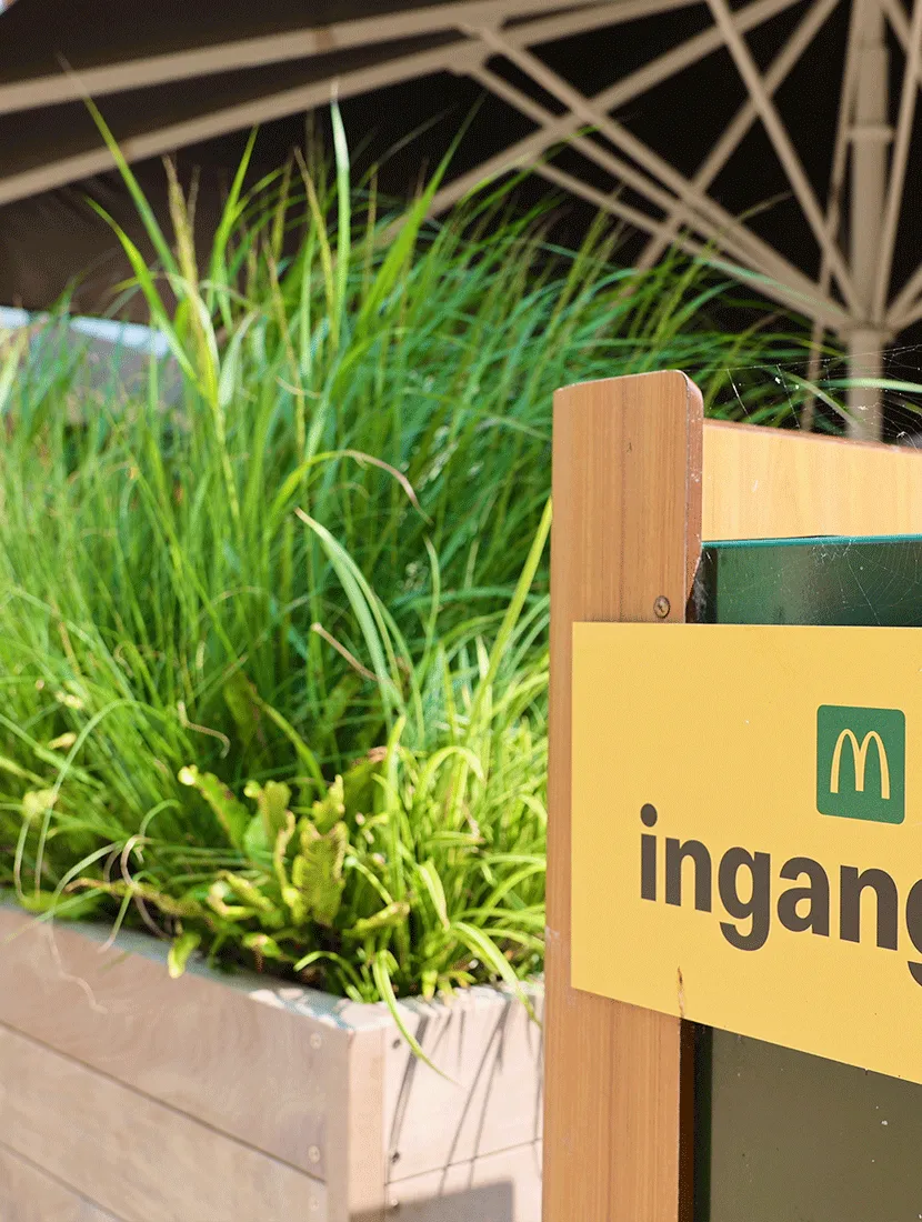 Siergrassen in een houten plantenbak naast het ingangsbord van McDonald's