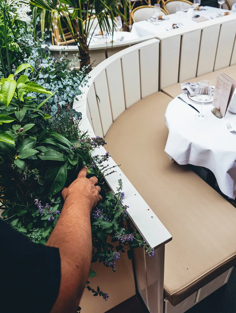 Medewerker van Upperbloom verzorgt de beplanting in de gebogen bak achter een zitbank op het terras
