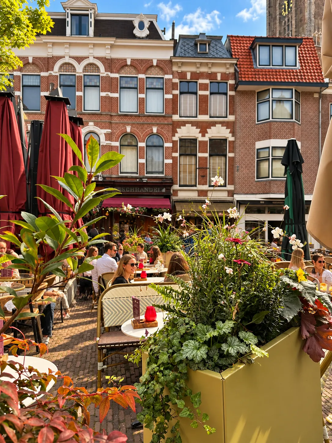 [Beschrijf de foto van de plantenbakken bij Graaf Floris]