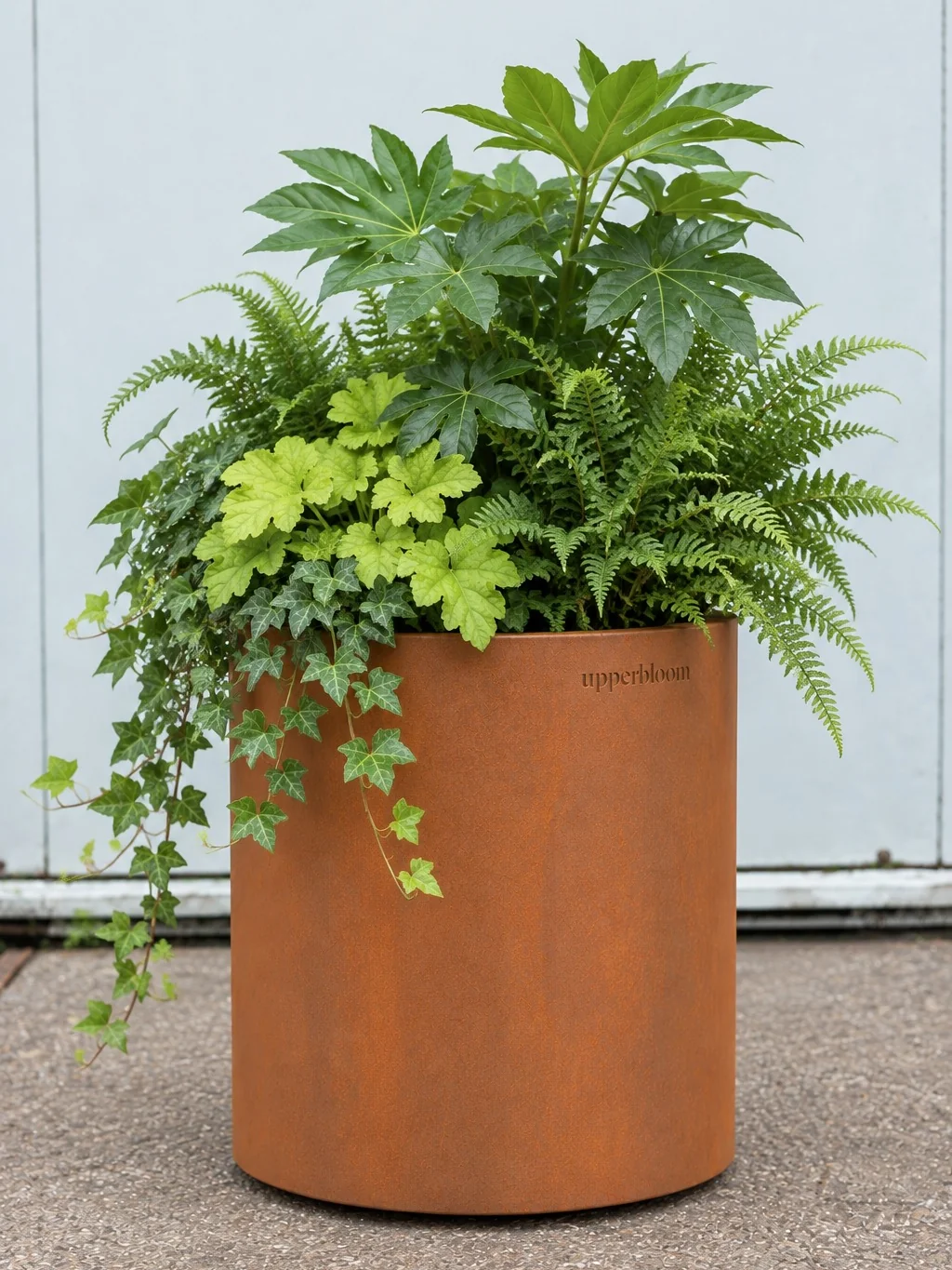 Ronde cortenstalen plantenbak met fatsia, varens, heuchera en hangende klimop