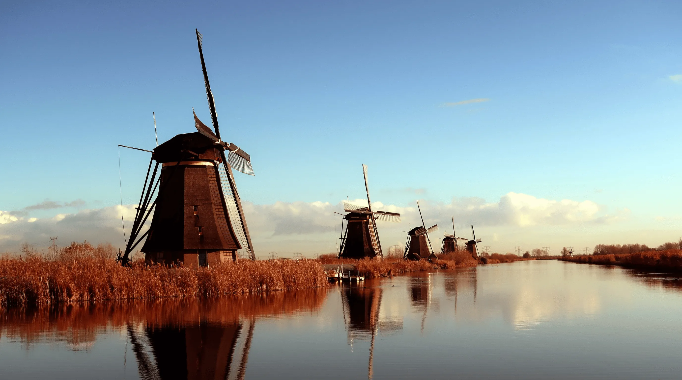 Rij traditionele Nederlandse windmolens bij Kinderdijk, weerspiegeld in het water