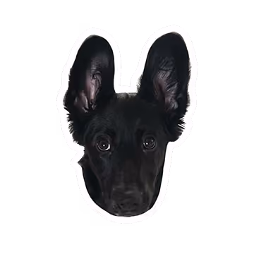Loki