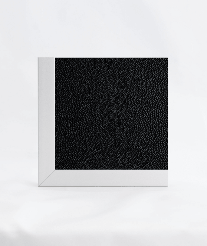 Black Shagreen
