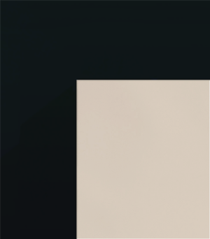 Bronze Clear with Black Border