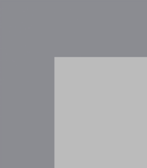 Grey Clear with White Border