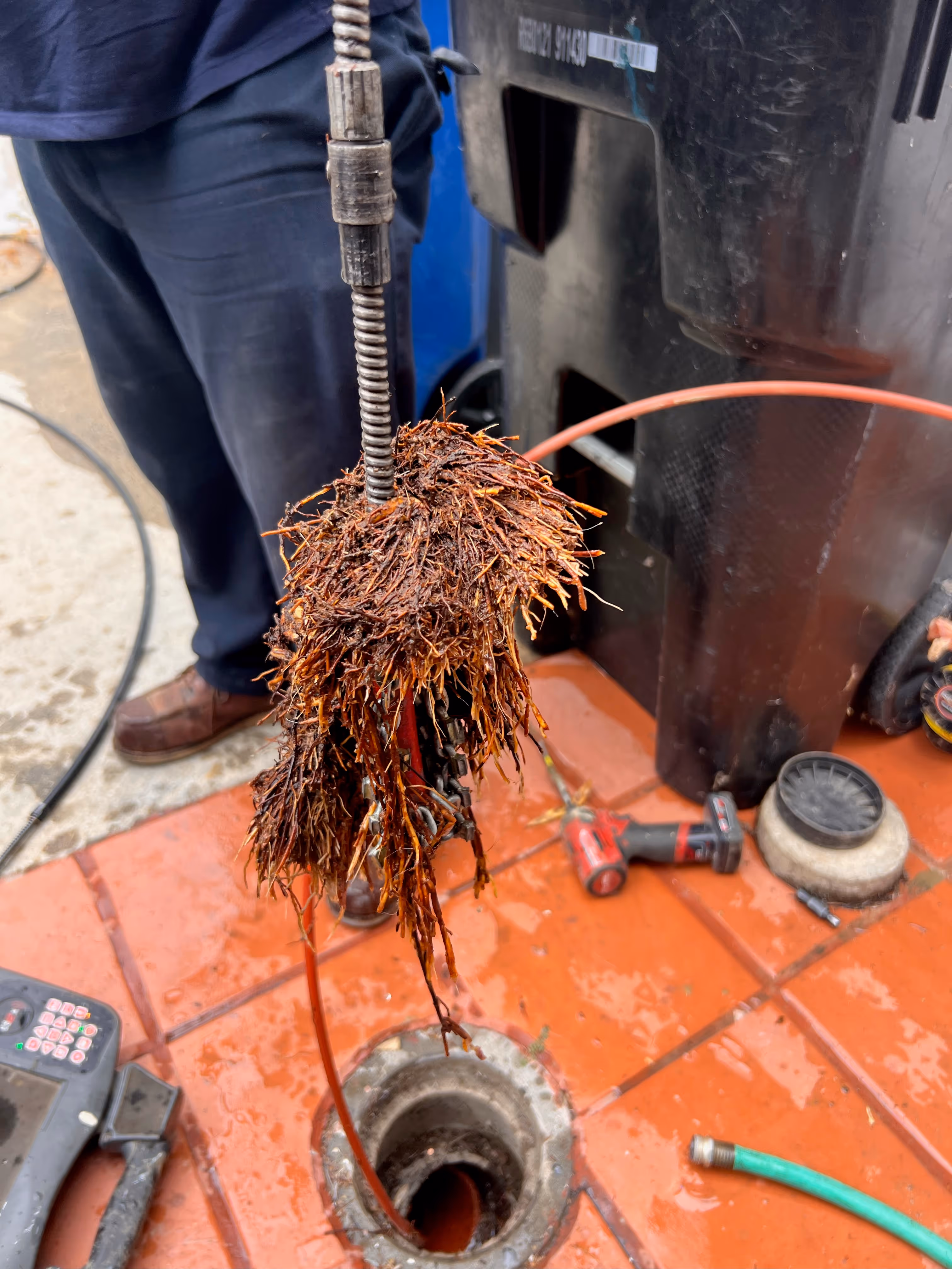 Sewer drain cleaning cable removing tree roots from residential pipe line.