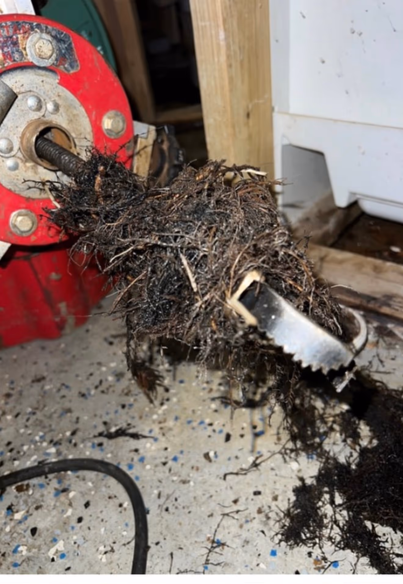 drain cleaning in los angeles ca