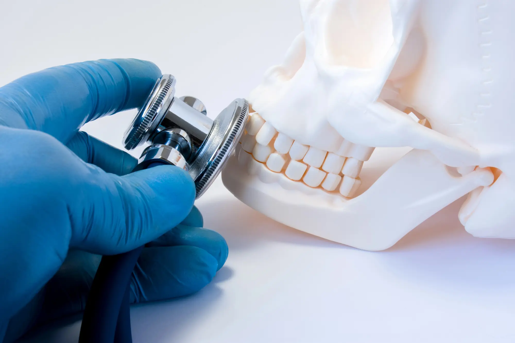 Hand in blue medical glove holding a stethoscope on a white dental skull model.