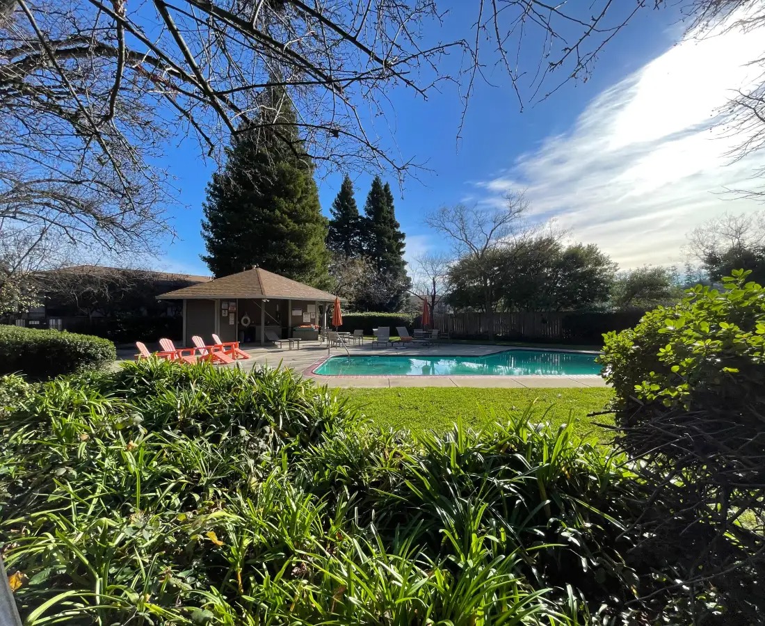 pool area