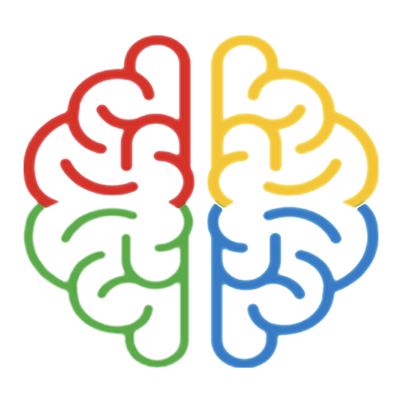 The E-Colors model shown as four colours across the two halves of the brain