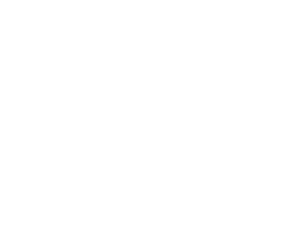 Foire de Dijon