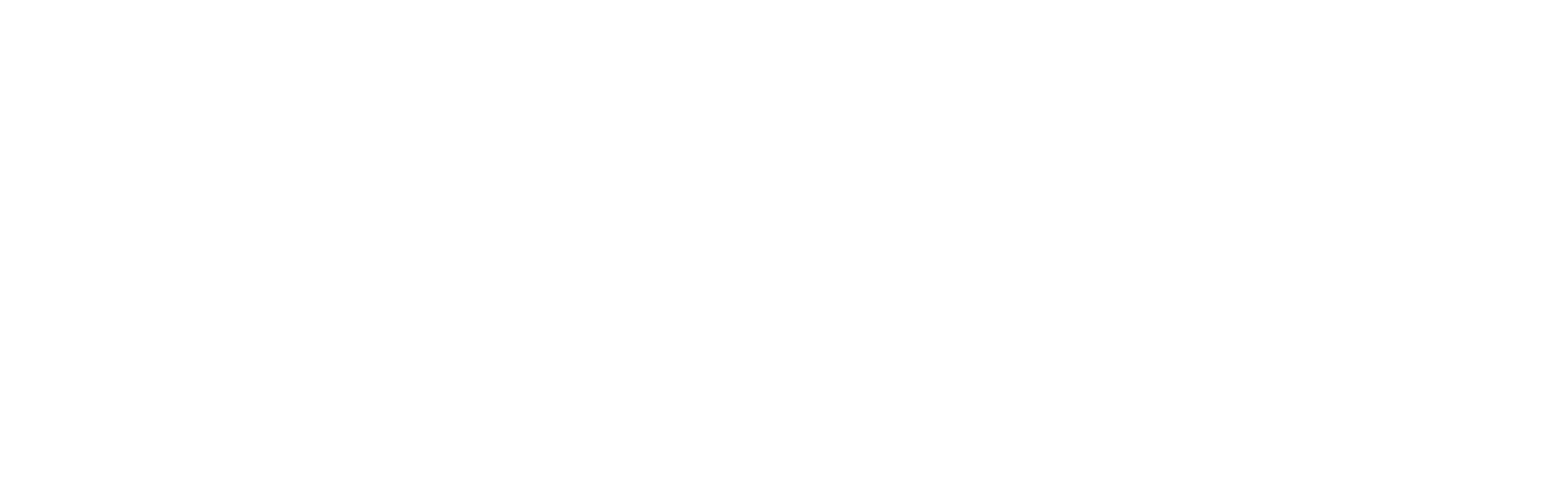 Anixy - Destination Nancy