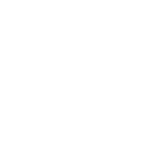 Salon du dessin