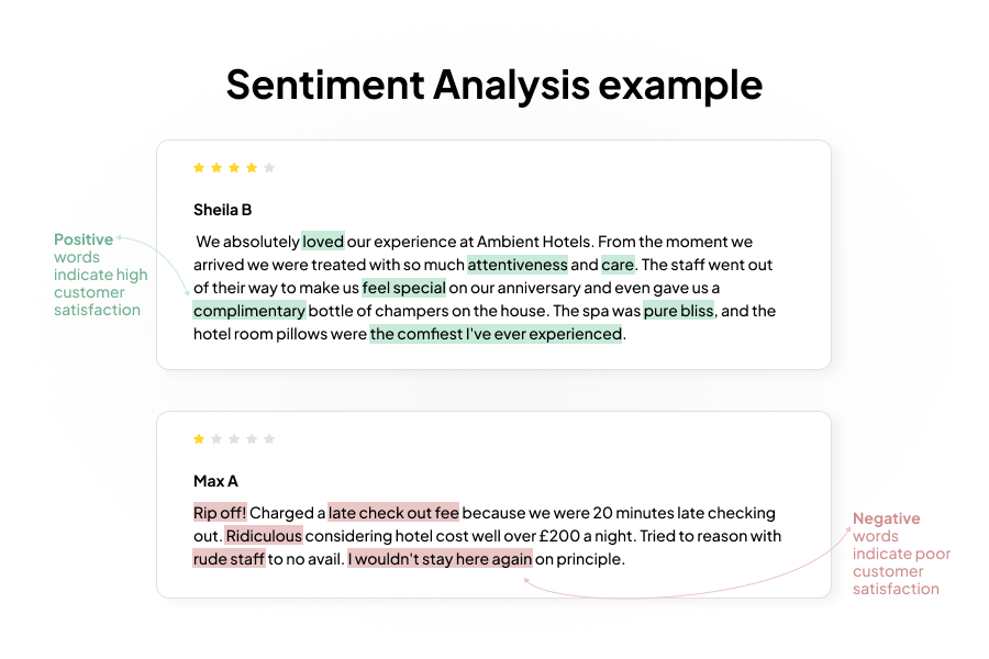customer sentiment analysis example