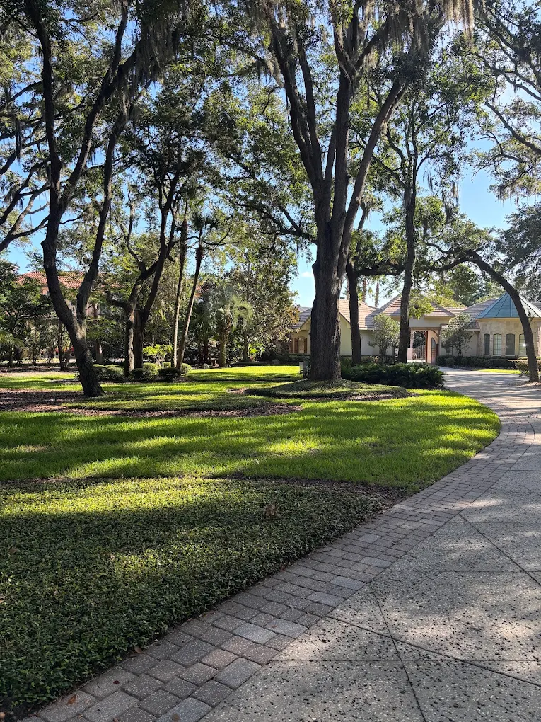 A healthy uniform green lawn free of pests