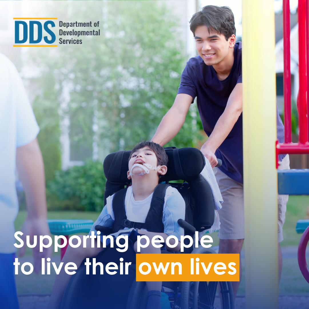 DDS campaign graphic showing an intern supporting a person with developmental disabilities at a plauground, with the message "Supporting people to live their own lives"