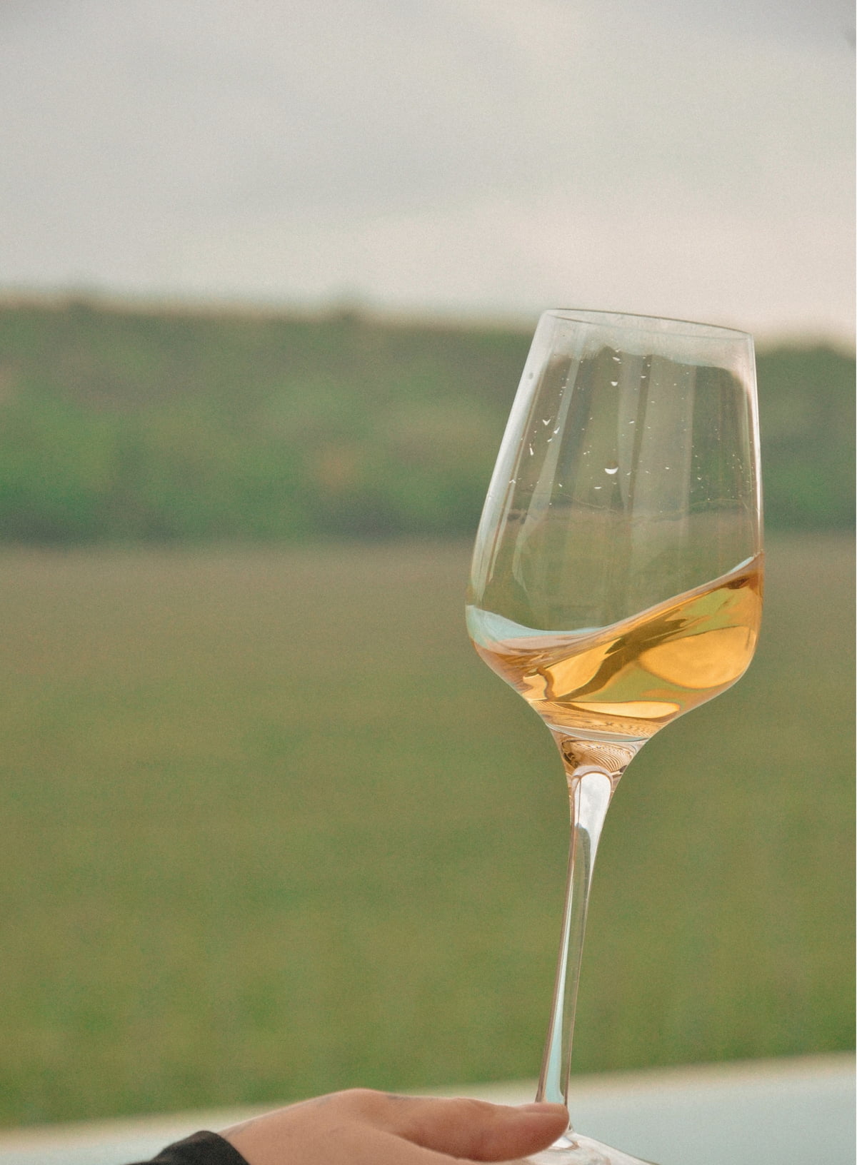 A hand holding a glass of white wine