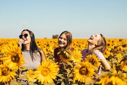 Three teens laughing in a sunflower field