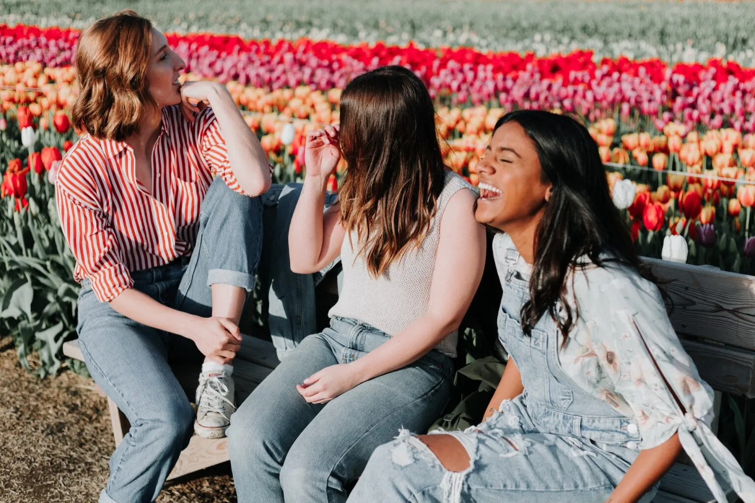 Three young women laughing on a bench in front of a tulip field.