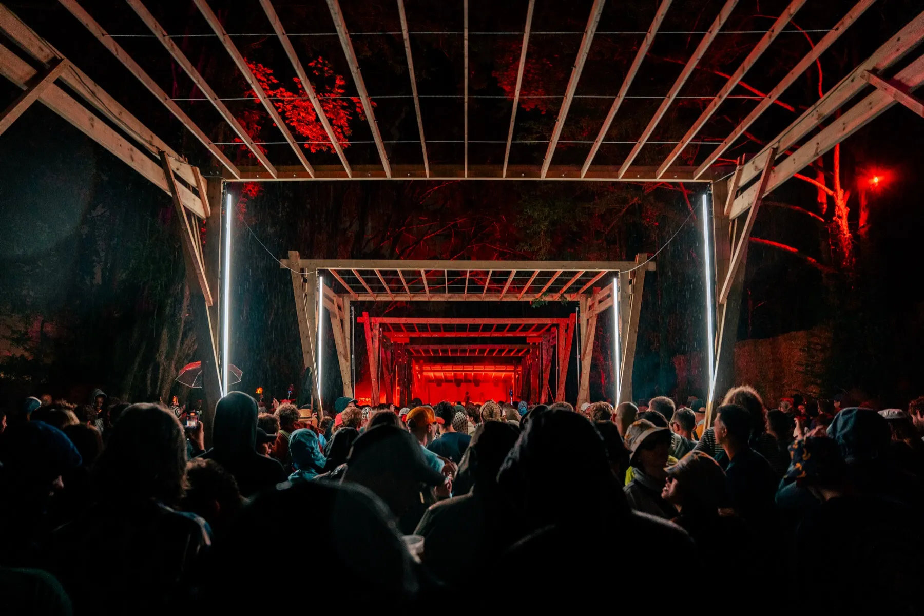 The Grove after dark