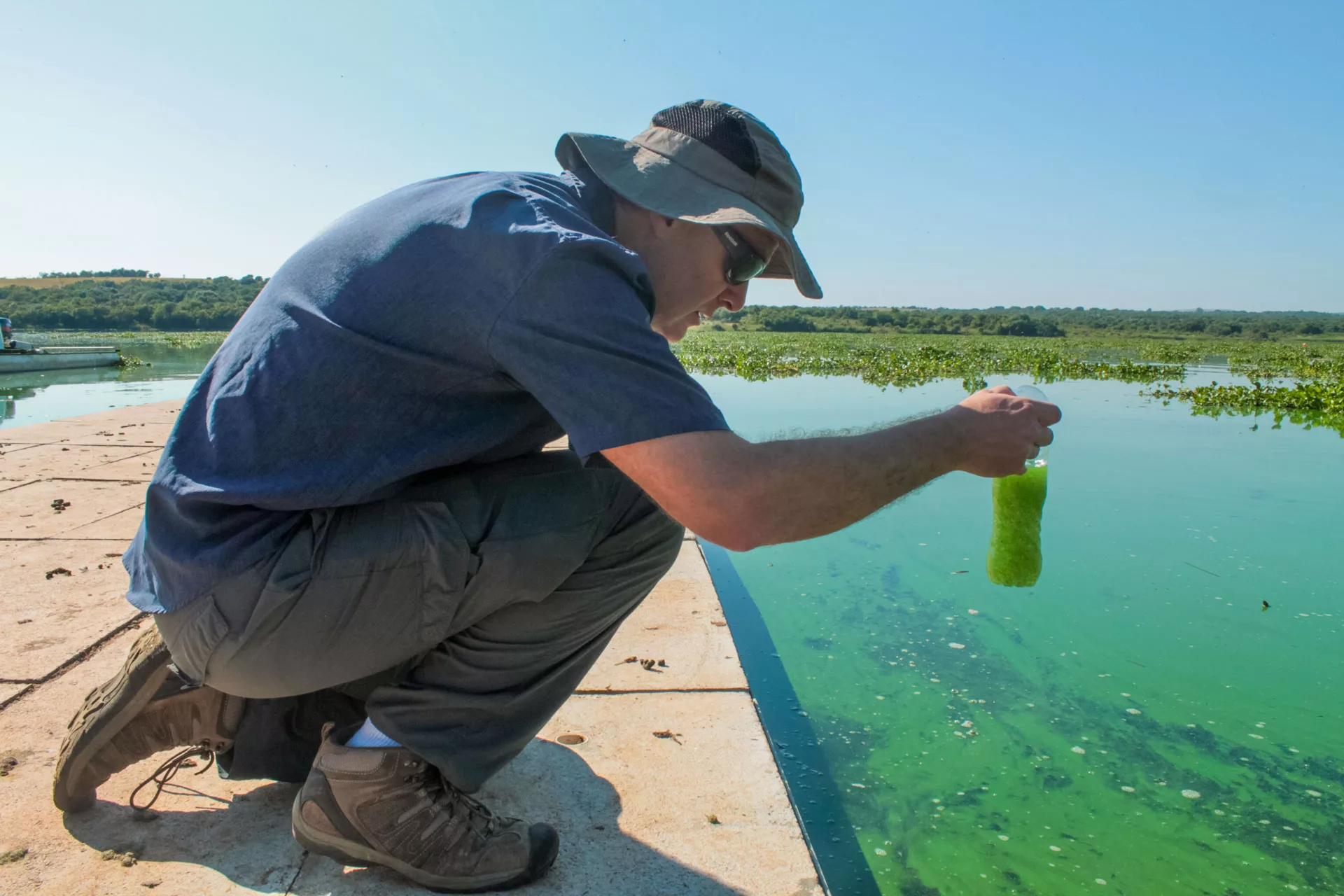 Researcher collecting water sample from algae-covered pond.