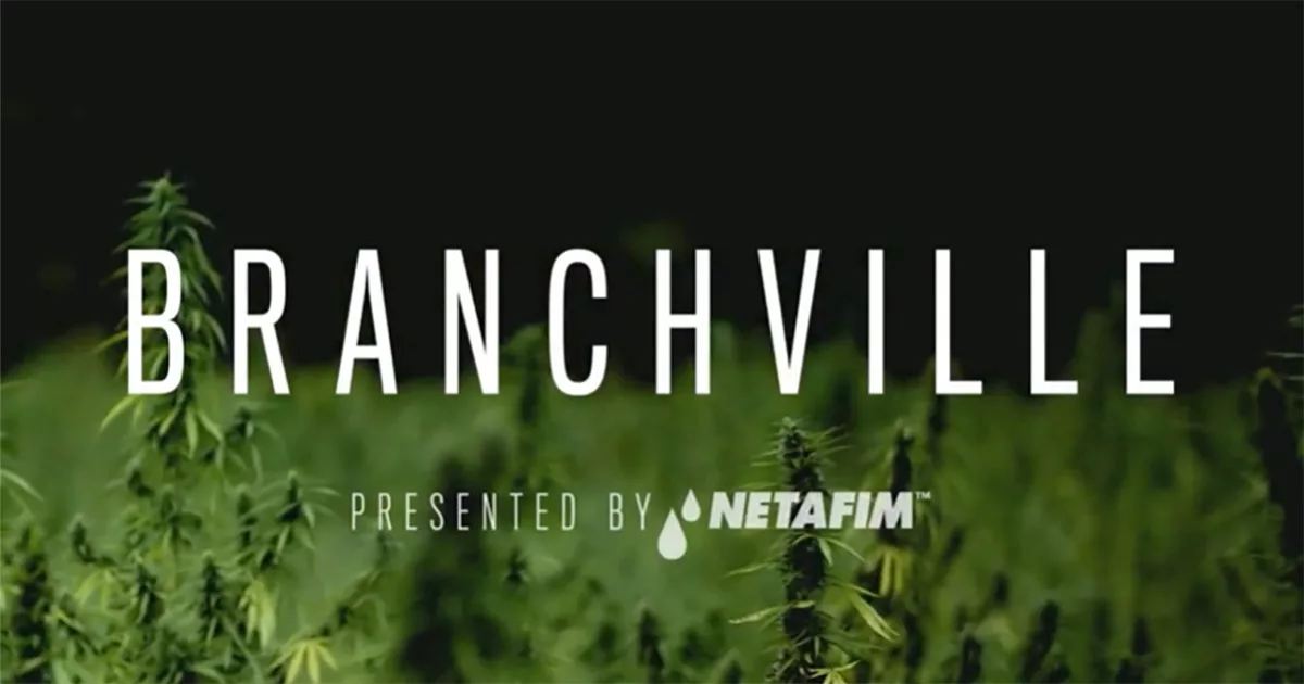 Text "Branchville" over a lush green field