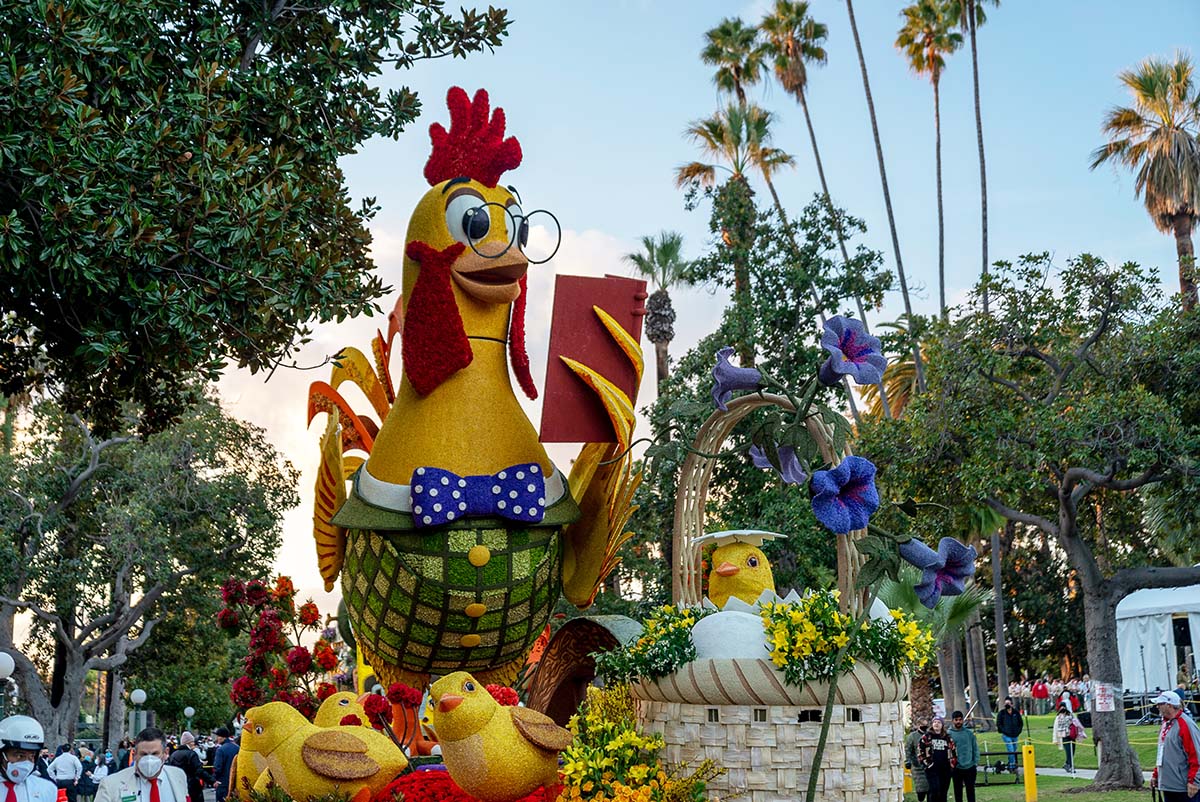 Colorful parade float with giant rooster reading book