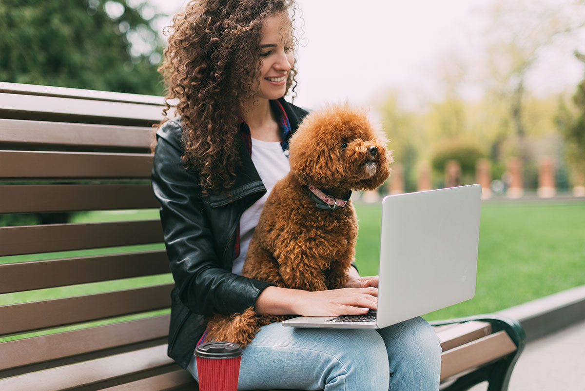 Digital Marketing With a Small Budget