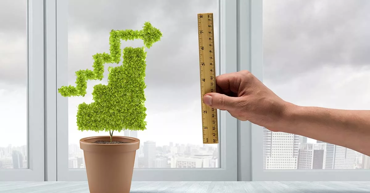 Potted plant shaped like upward graph with measuring ruler