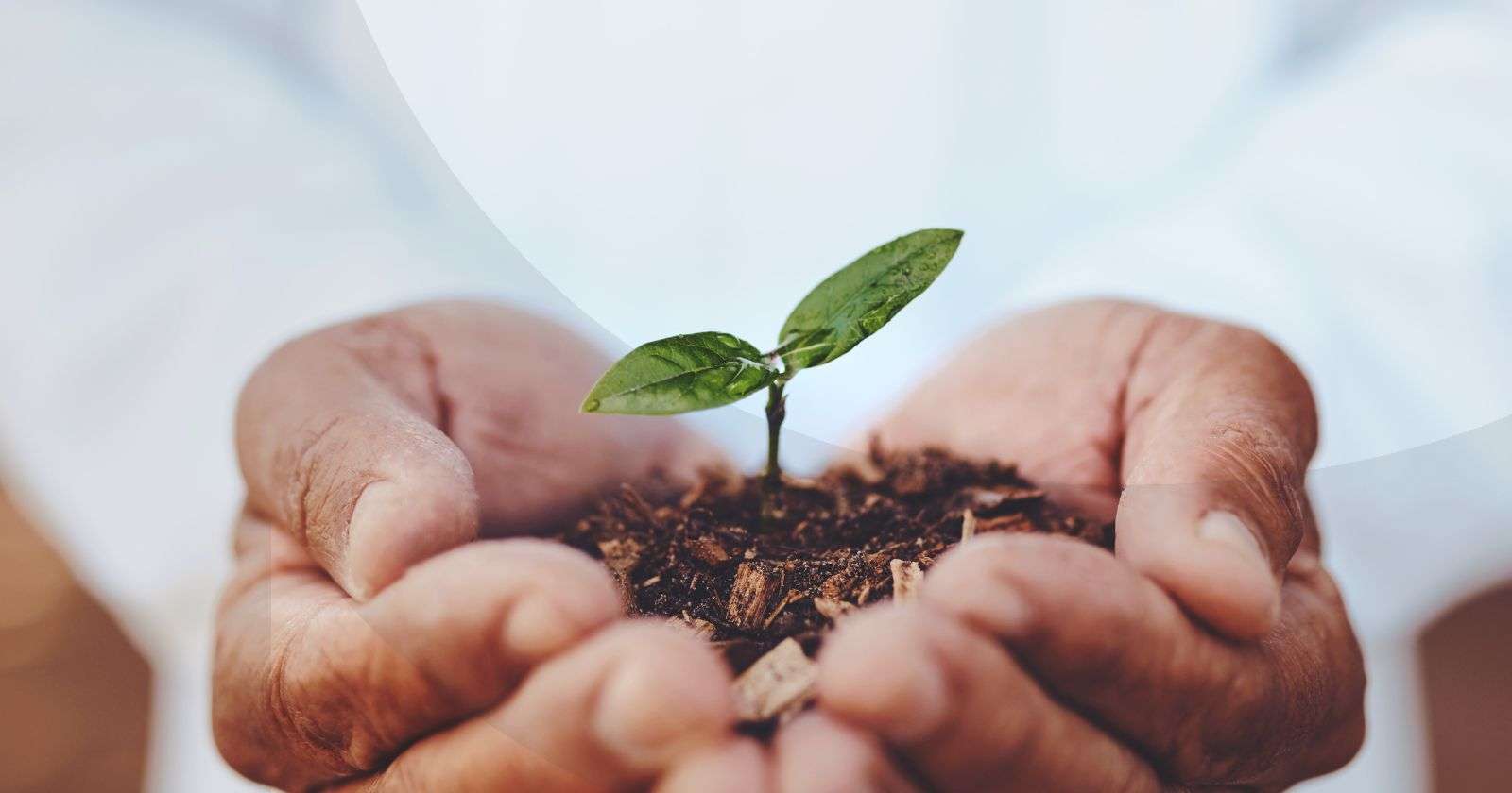 Soft power in marketing and branding