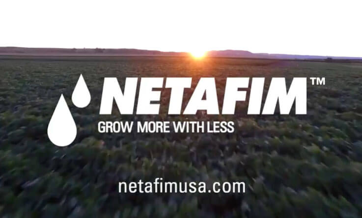 Sunset over green field with Netafim logo and slogan "Grow More With Less