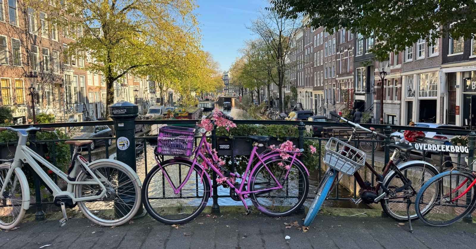 Colorful bikes on an Amsterdam canal bridge lined with autumn trees under a clear blue sky.