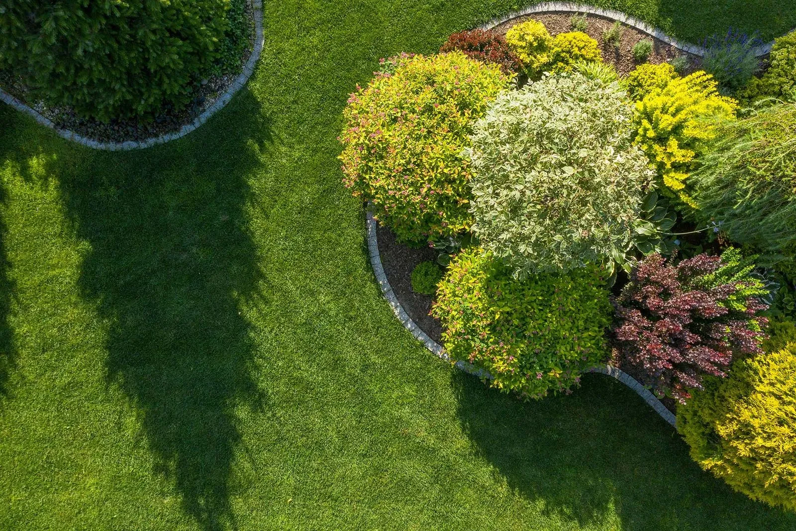 Professional landscaping near me for backyard design