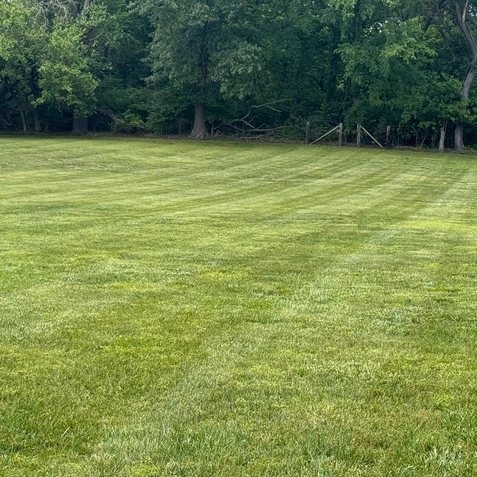 Professional commercial lawn care near me in Evansville, Indiana

