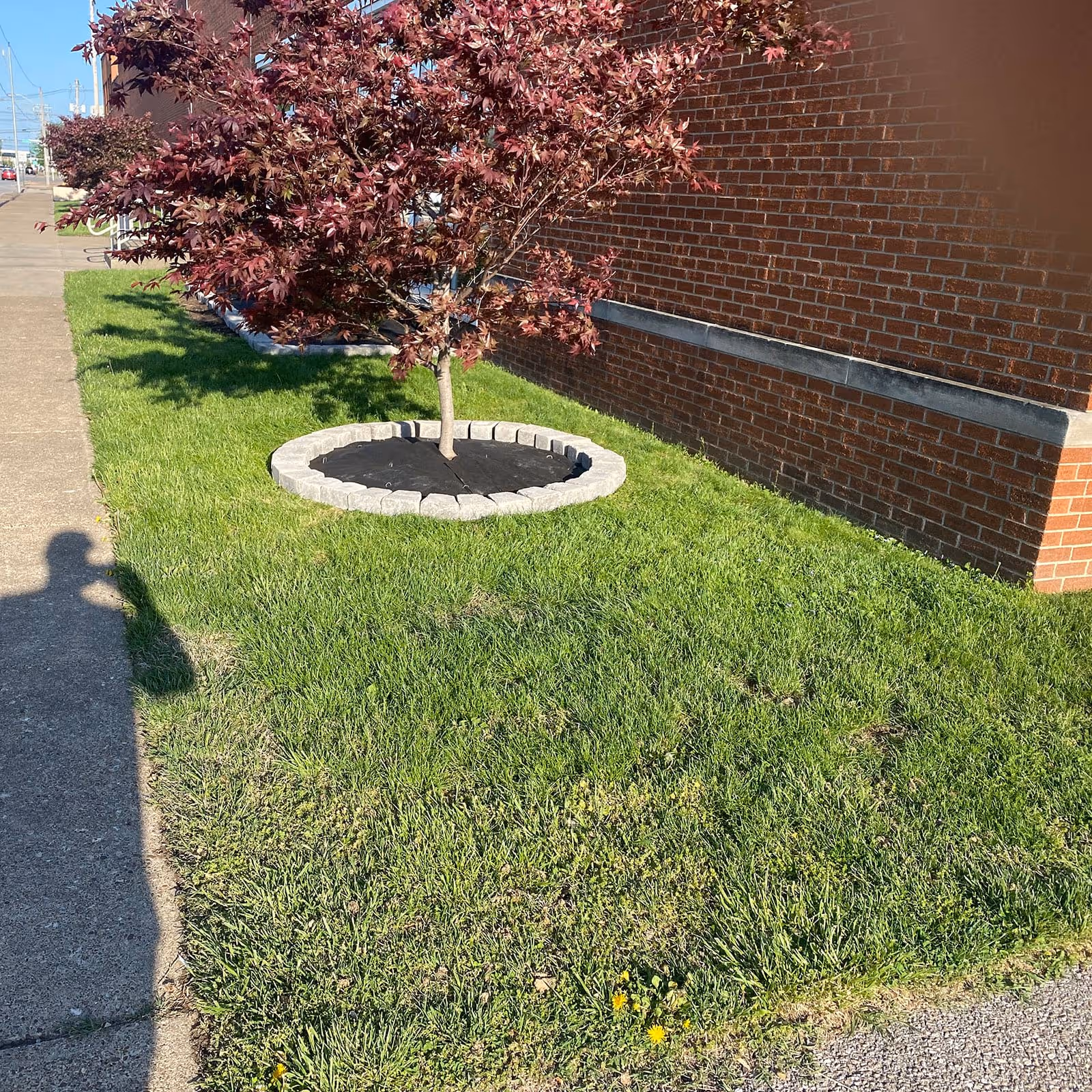 Fresh mulch installation for commercial landscapes by Midwestern Outdoor Services in Southern Indiana