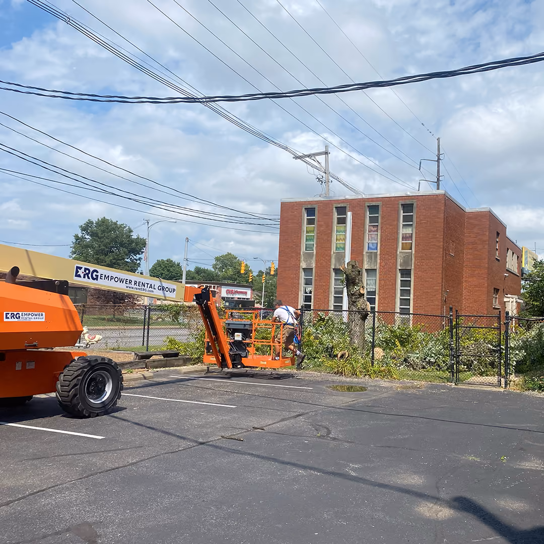 Midwestern Outdoor Services tree and shrub care for commercial properties