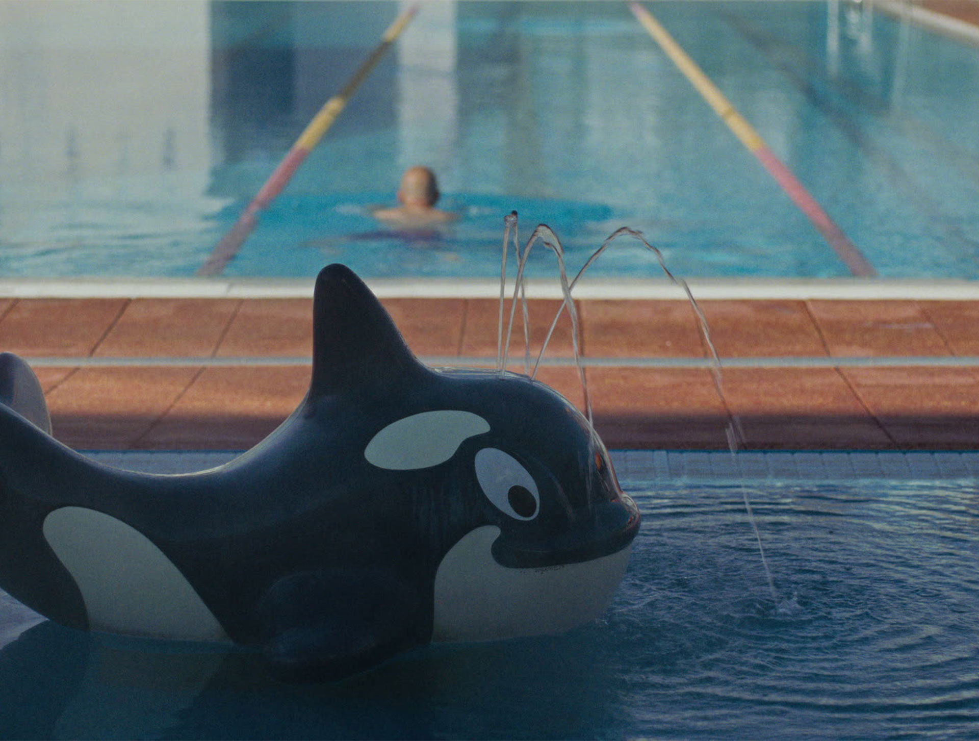 Anthropic, whale pool still, Short Documentary, Title: ÞETTA REDDAST, DOP: Joey Knox